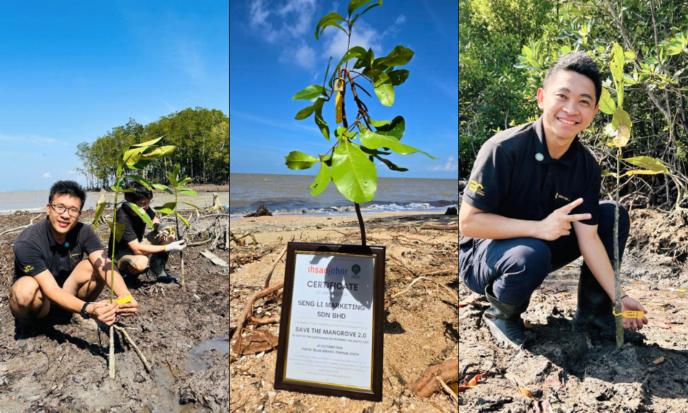 Save the Mangrove 2.0